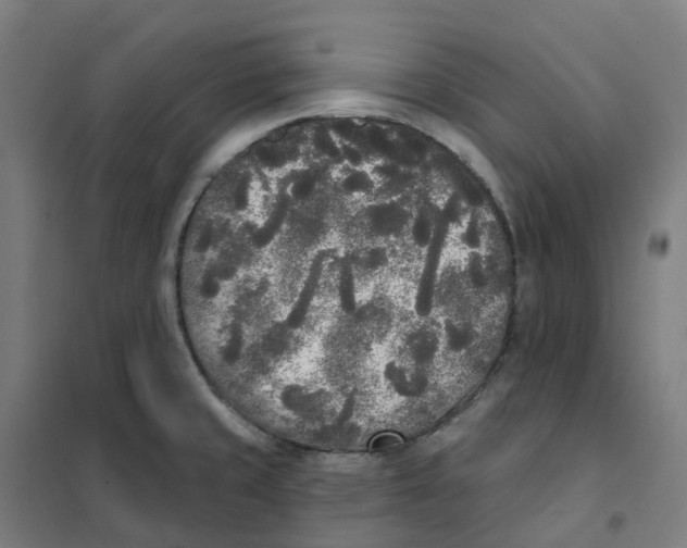 X0000101231429200807251124