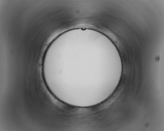 X0000101231430200807251124