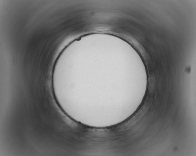 X0000101231432200807251124