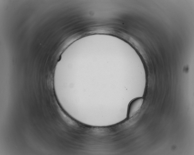 X0000101231433200807251124