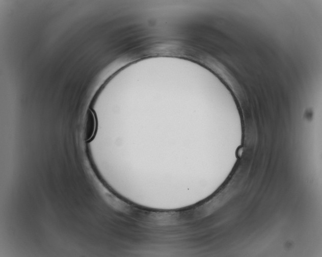 X0000101231434200807251124