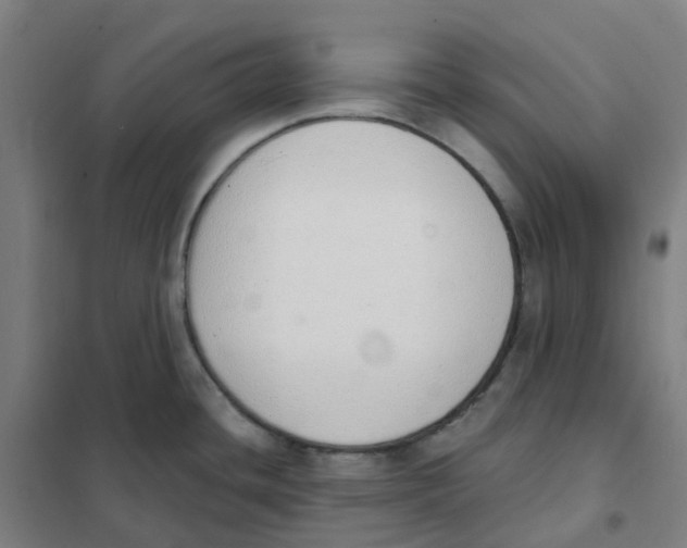 X0000101231436200807251124
