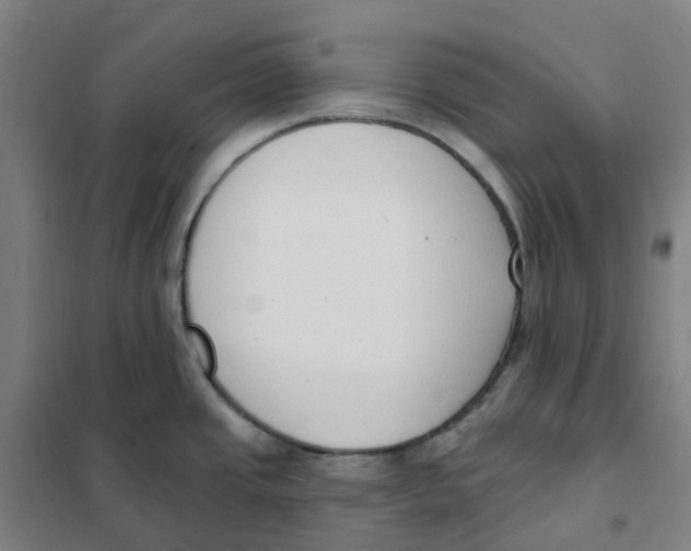 X0000101231437200807251124