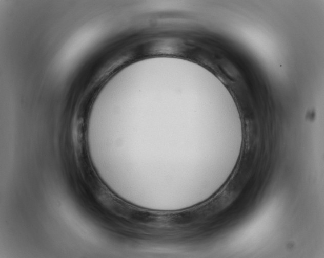 X0000101231438200807251124