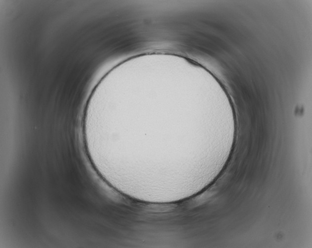 X0000101231440200807251124