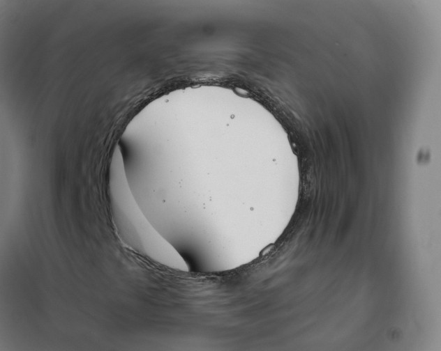 X0000101231441200807251123