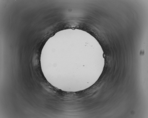X0000101231442200807251123