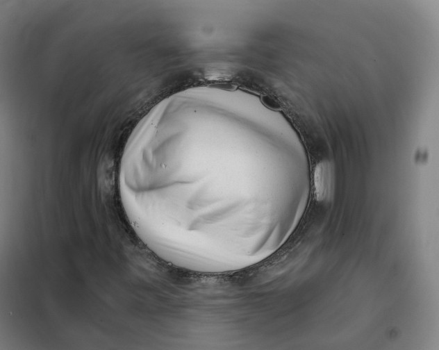 X0000101231443200807251123