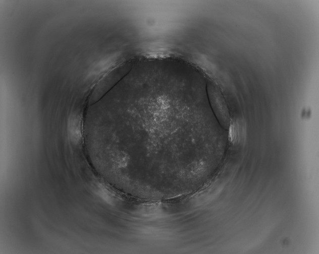 X0000101231444200807251123