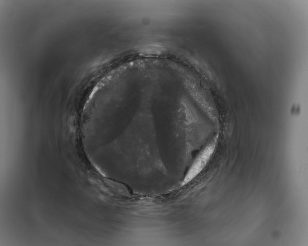 X0000101231445200807251123