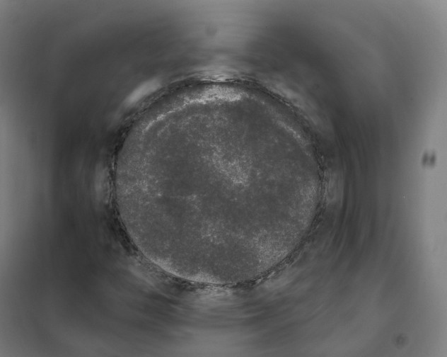X0000101231446200807251123