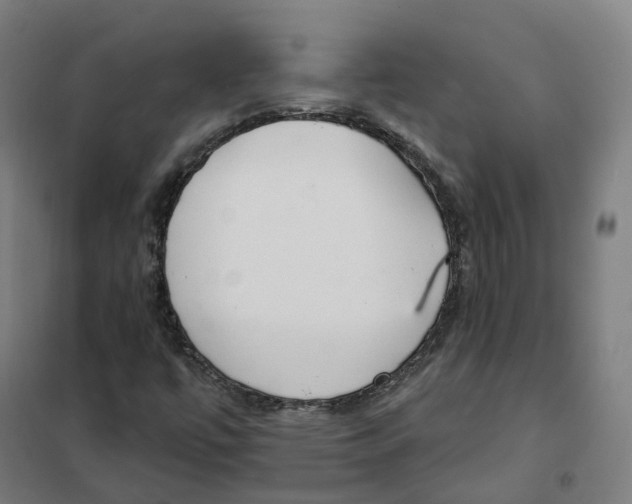 X0000101231447200807251123