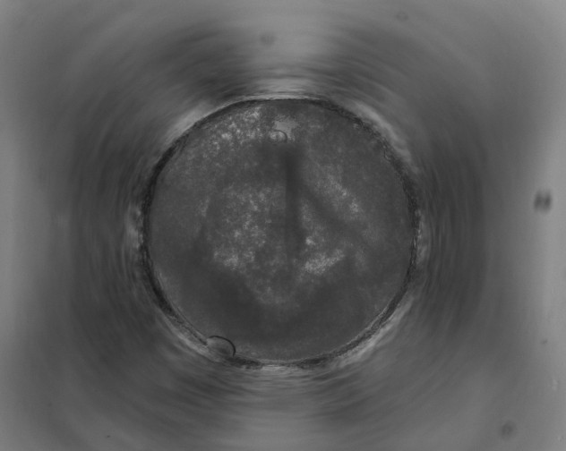 X0000101231449200807251123