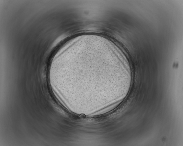 X0000101231450200807251123