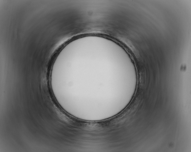 X0000101231452200807251123