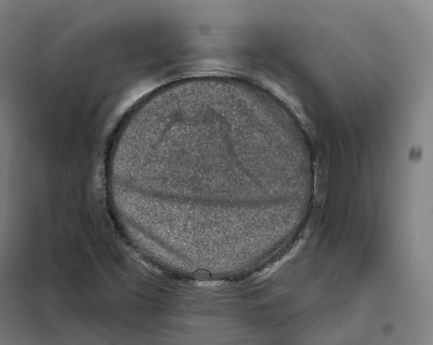 X0000101231453200807251123