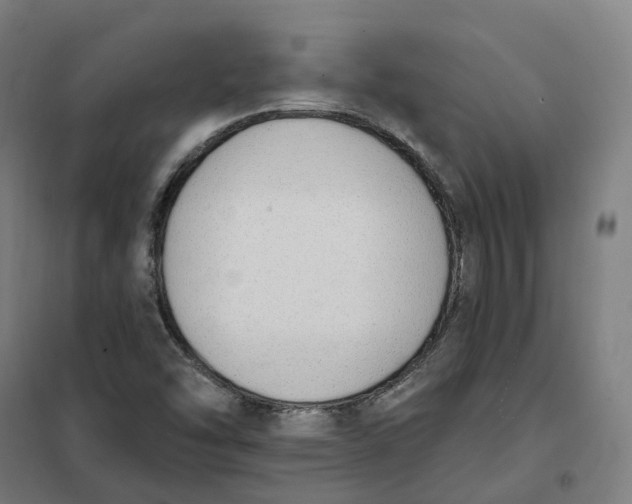 X0000101231454200807251123