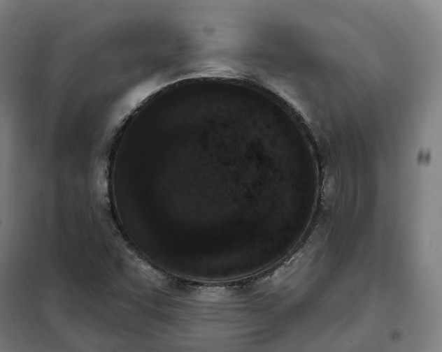 X0000101231455200807251123