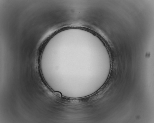 X0000101231456200807251123