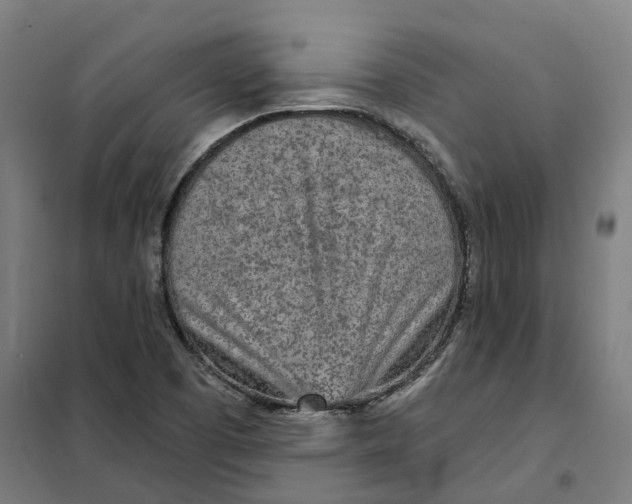 X0000101231457200807251123