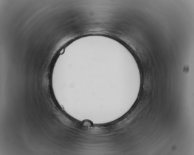 X0000101231458200807251123