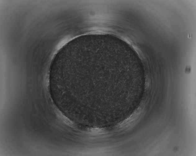 X0000101231459200807251123