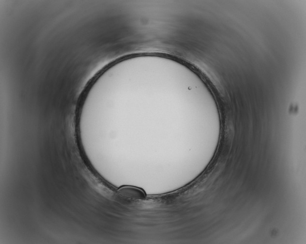 X0000101231460200807251123