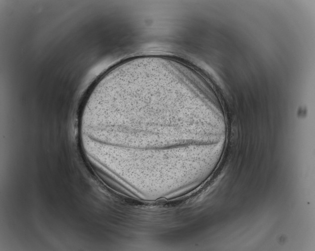 X0000101231461200807251123