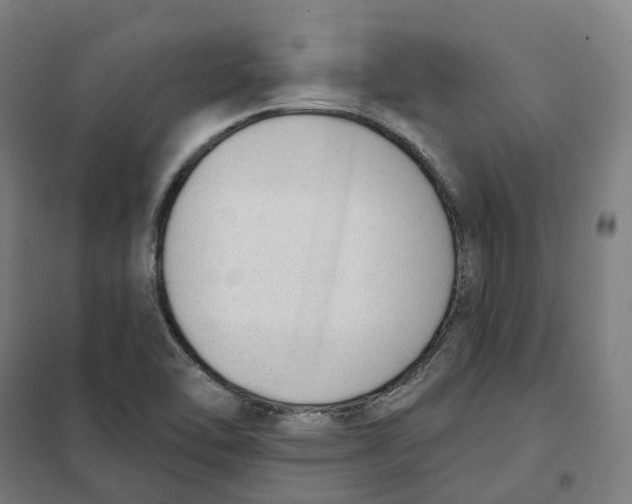 X0000101231462200807251123