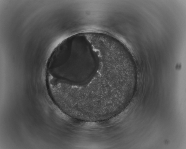X0000101231463200807251123