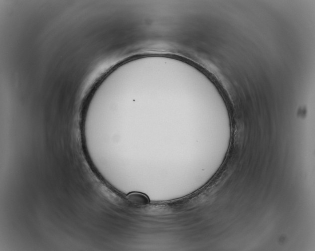 X0000101231464200807251123
