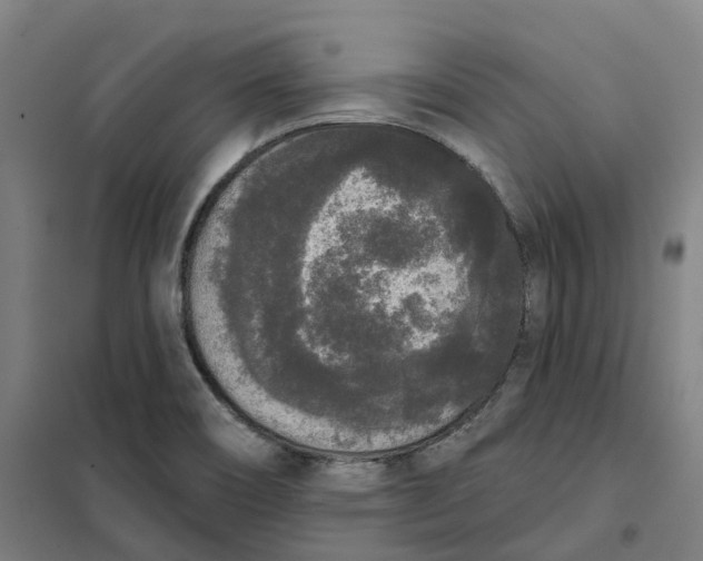 X0000101231466200807251123