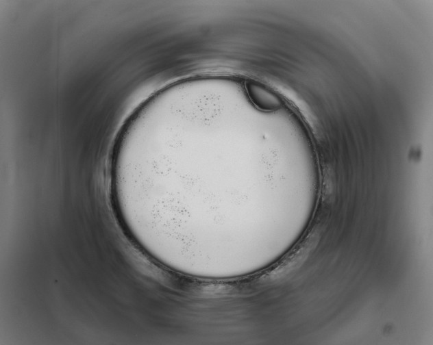 X0000101231467200807251123