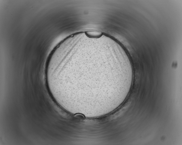 X0000101231469200807251123