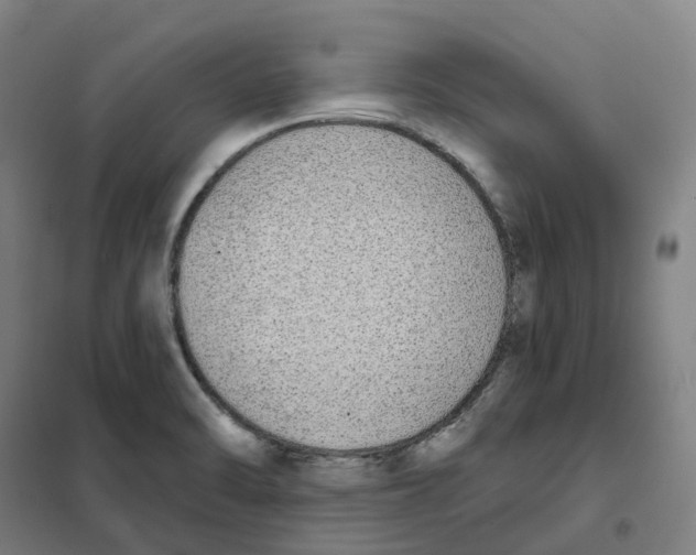 X0000101231470200807251123