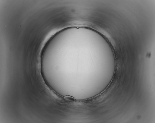 X0000101231472200807251123