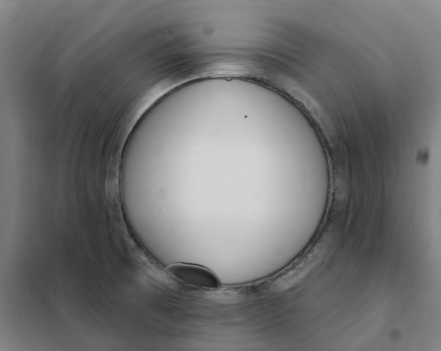 X0000101231473200807251123