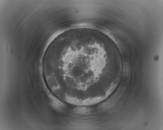 X0000101231474200807251123
