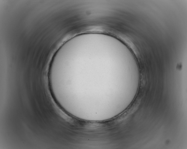 X0000101231475200807251123