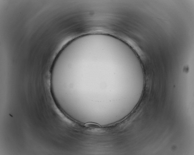 X0000101231476200807251123