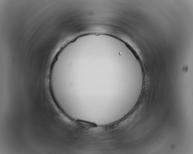 X0000101231477200807251123