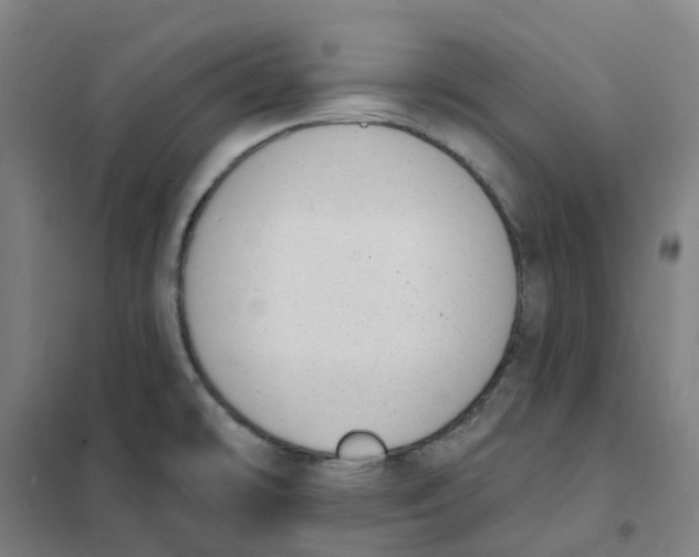 X0000101231478200807251123