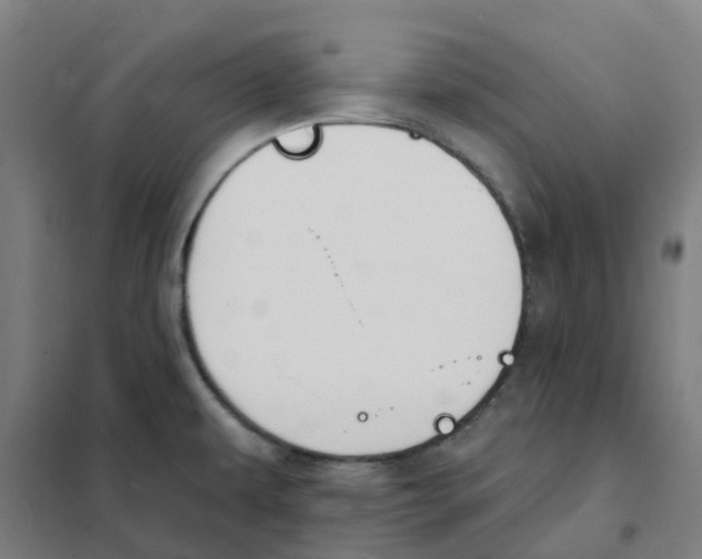 X0000101231479200807251123