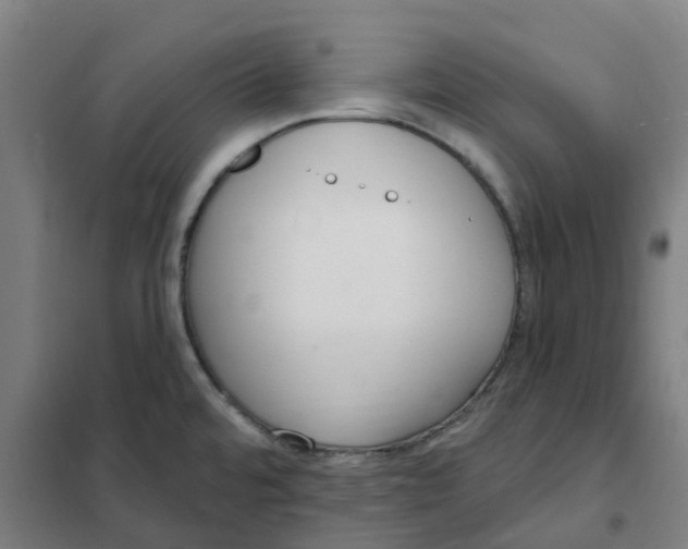 X0000101231480200807251123