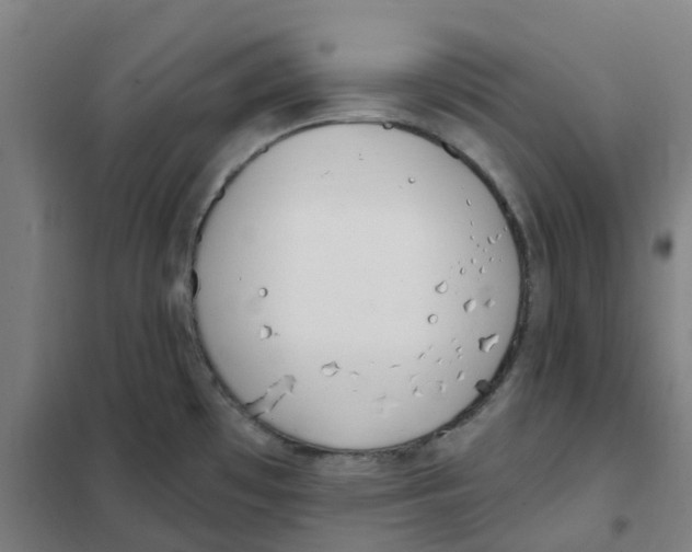 X0000101231481200807251123
