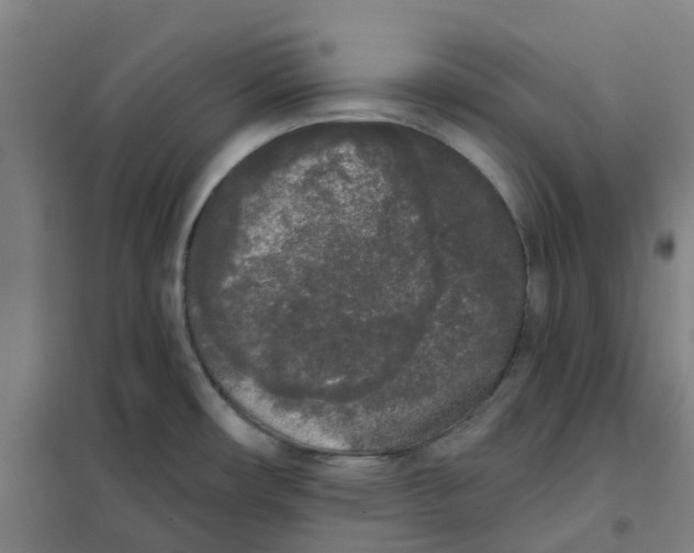 X0000101231482200807251123