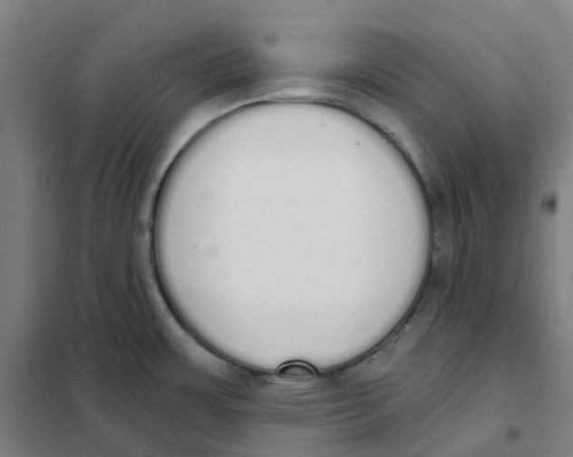 X0000101231483200807251123