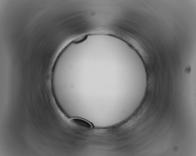 X0000101231484200807251123