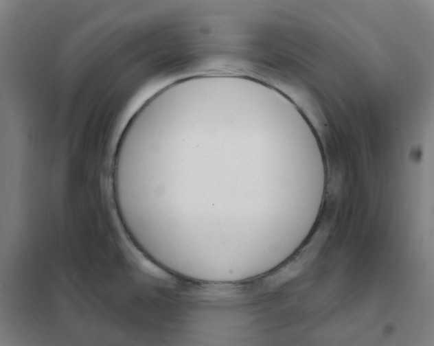 X0000101231486200807251123