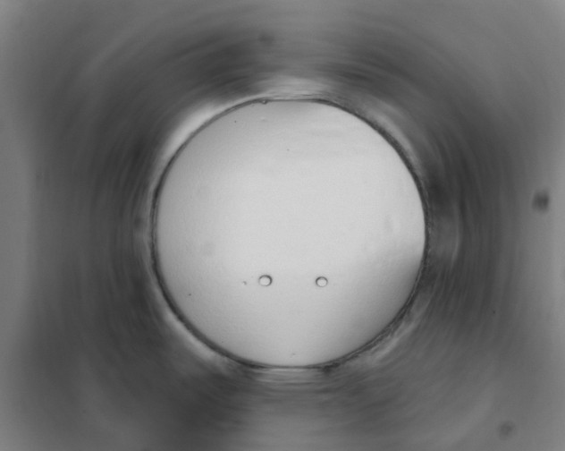 X0000101231487200807251123